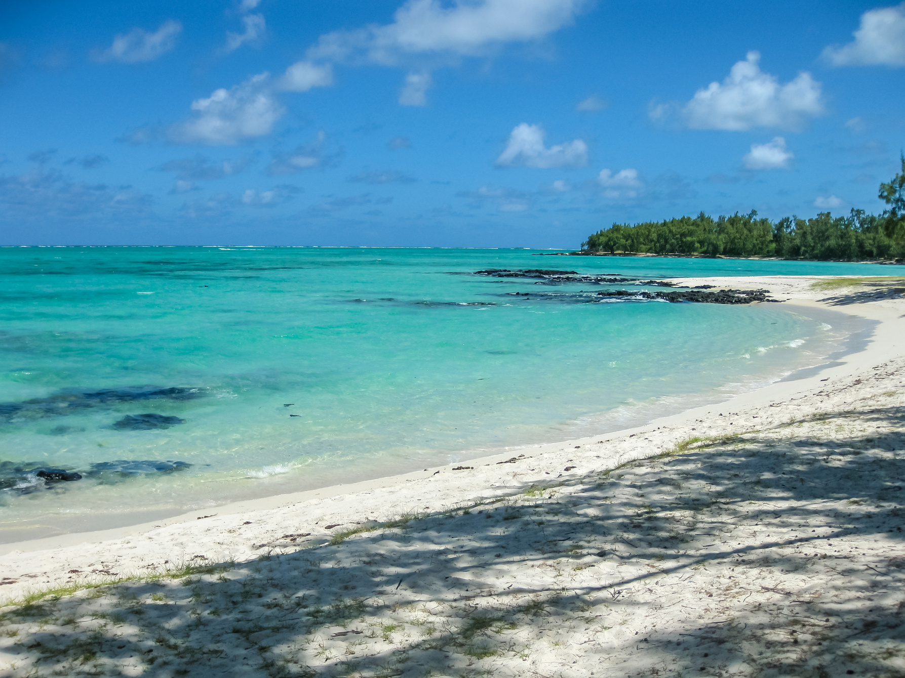 Mauritius Deer Island